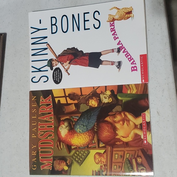 Boy Early Reader Chapter Book Summer Reading Scholastic Bundle - Picture 1 of 6